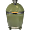 #colour_olive green